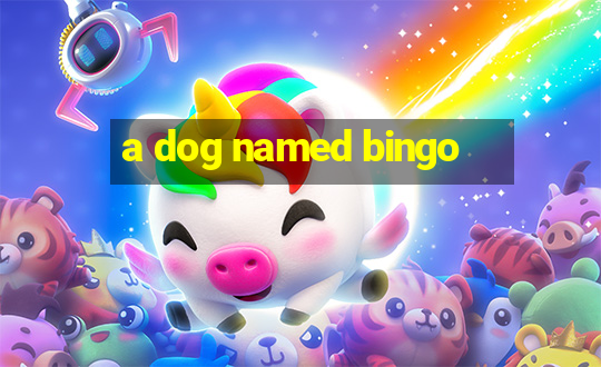 a dog named bingo