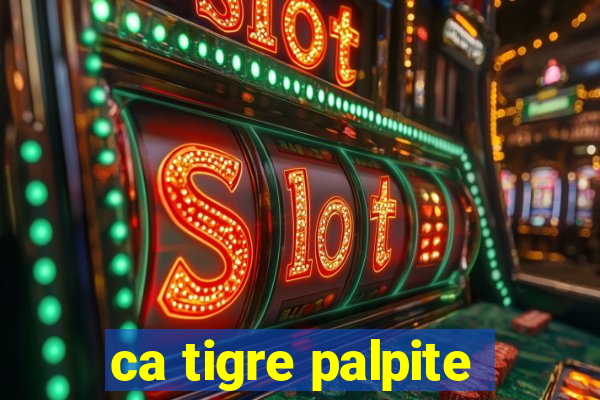 ca tigre palpite