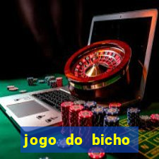 jogo do bicho aplicativo do celular