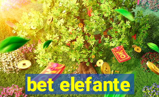 bet elefante