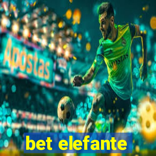 bet elefante