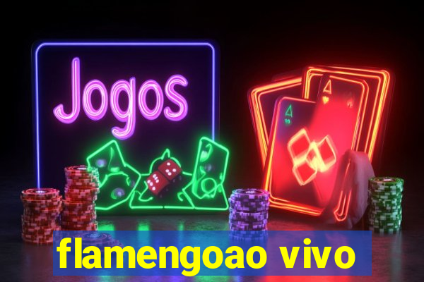 flamengoao vivo