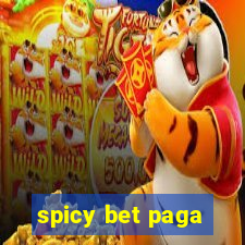 spicy bet paga