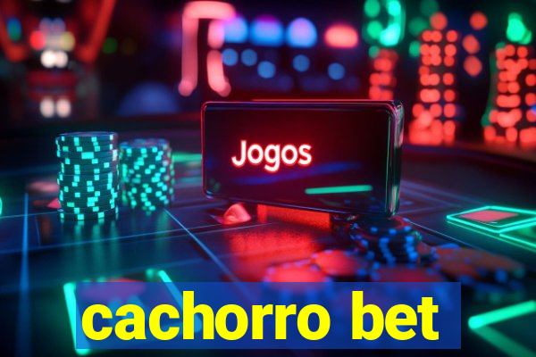 cachorro bet