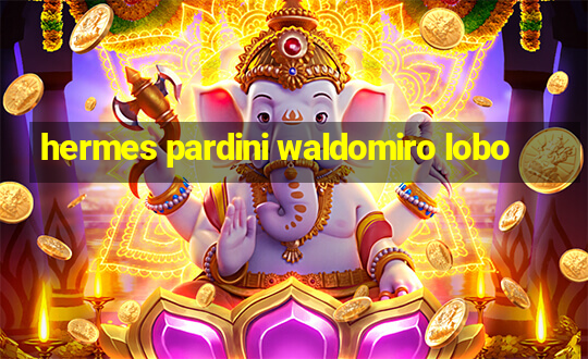 hermes pardini waldomiro lobo