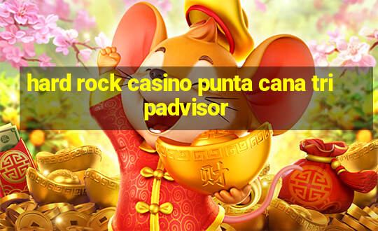 hard rock casino punta cana tripadvisor