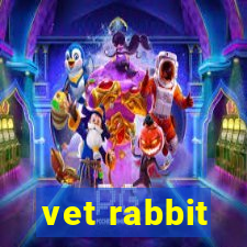 vet rabbit