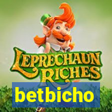 betbicho