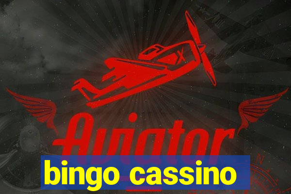 bingo cassino