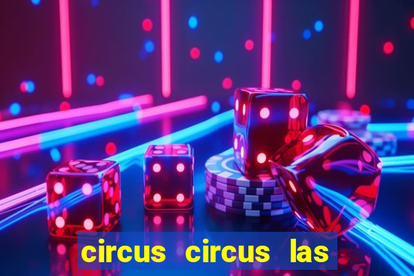 circus circus las vegas hotel & casino