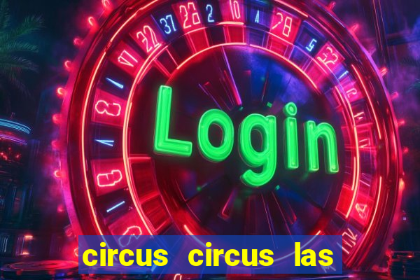 circus circus las vegas hotel & casino