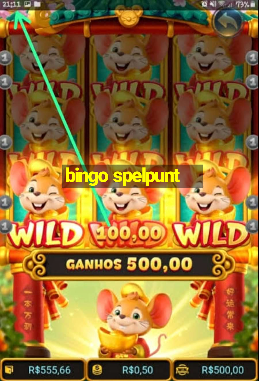 bingo spelpunt