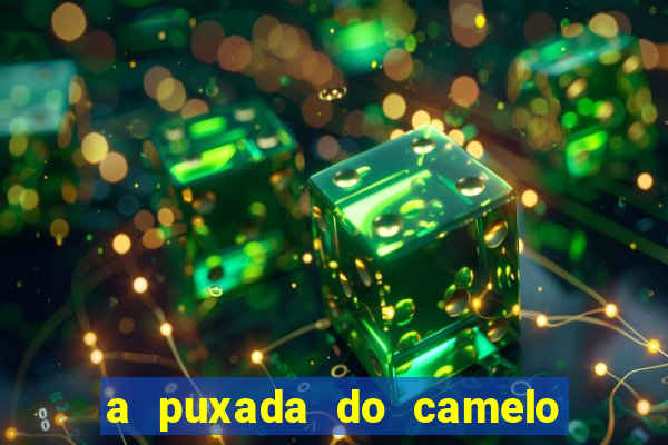 a puxada do camelo no jogo do bicho