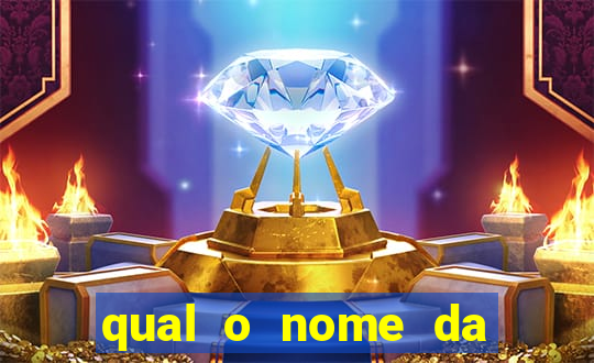 qual o nome da casinha do pinguim