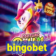 bingobet