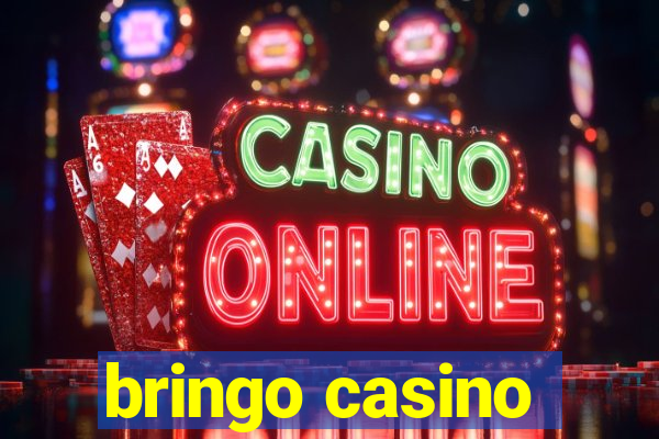 bringo casino