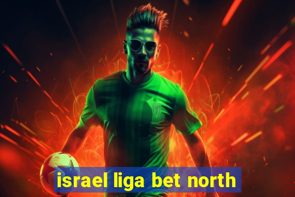 israel liga bet north