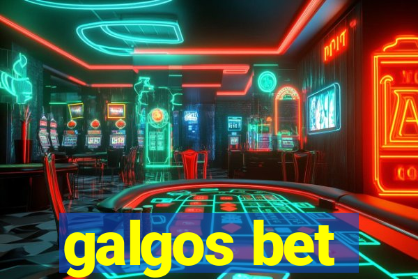 galgos bet