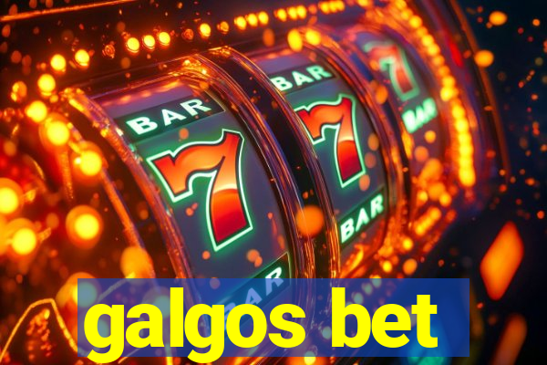 galgos bet