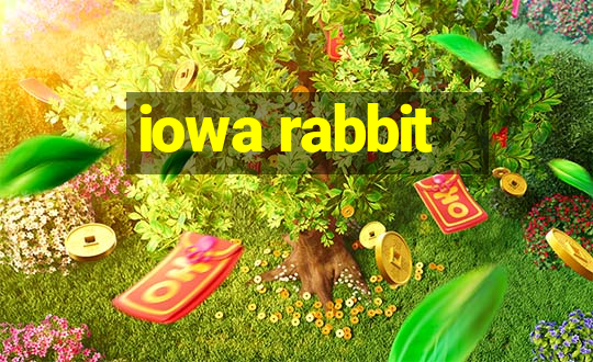 iowa rabbit