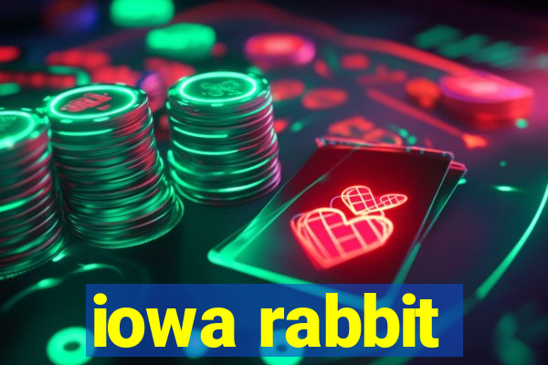 iowa rabbit