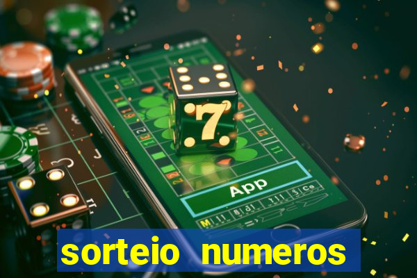 sorteio numeros bingo online