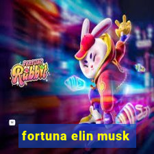 fortuna elin musk