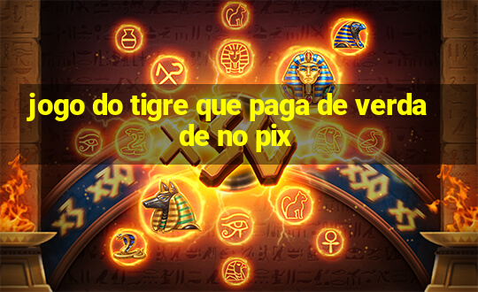 jogo do tigre que paga de verdade no pix