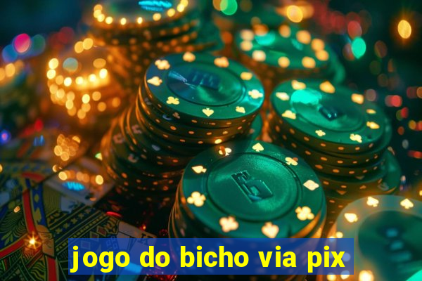 jogo do bicho via pix