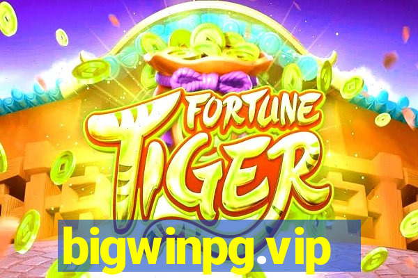 bigwinpg.vip