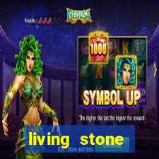 living stone network tv