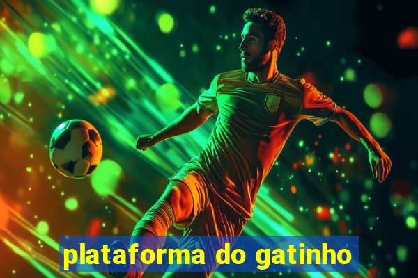 plataforma do gatinho