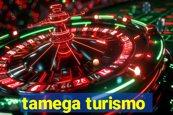 tamega turismo