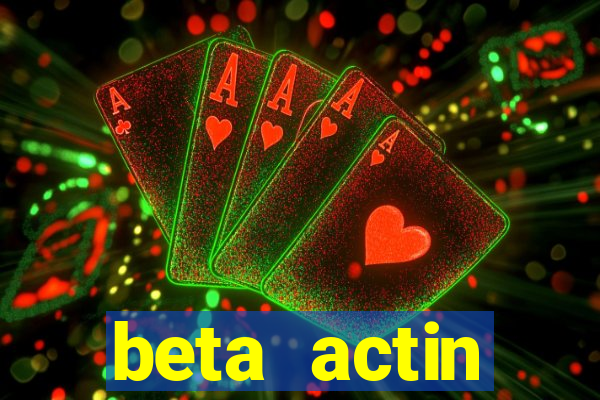 beta actin molecular weight