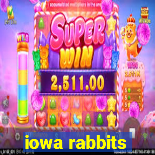 iowa rabbits