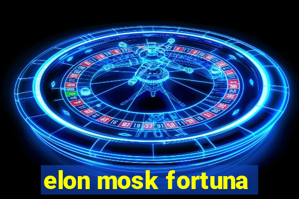 elon mosk fortuna