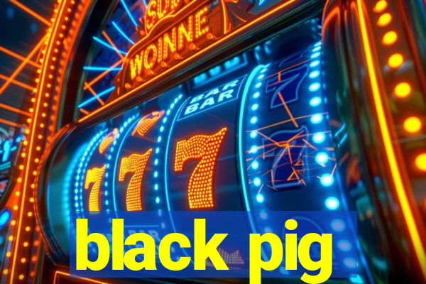 black pig