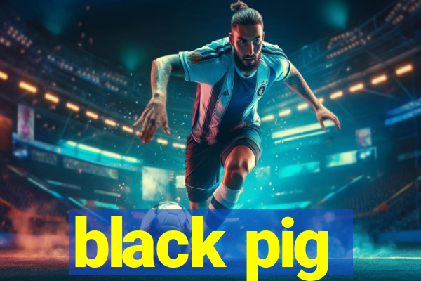 black pig