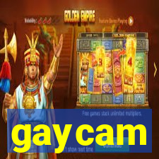 gaycam