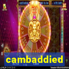 cambaddied