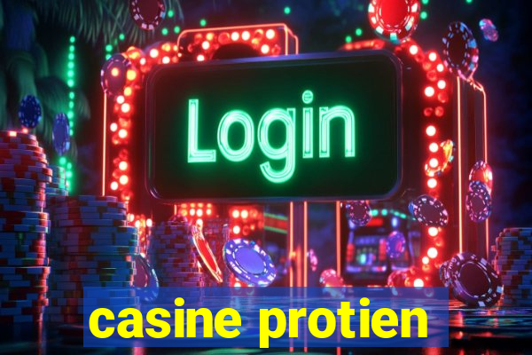 casine protien