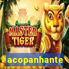 acopanhante