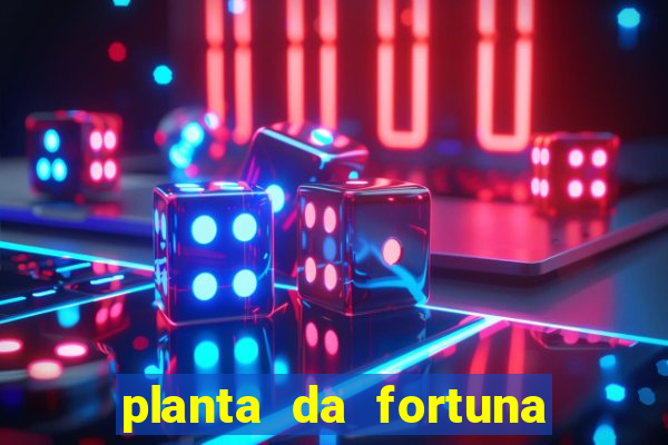 planta da fortuna e felicidade