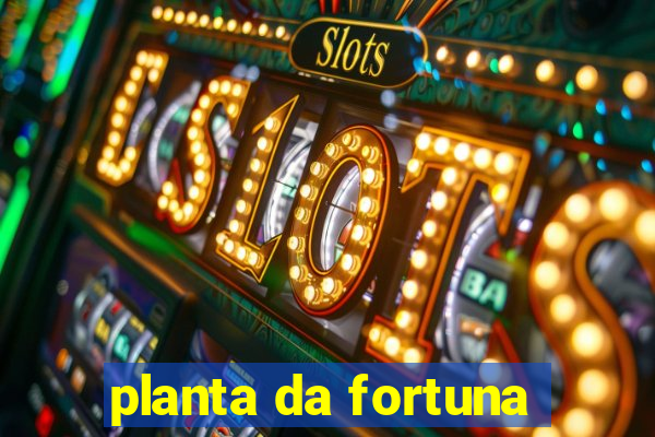 planta da fortuna