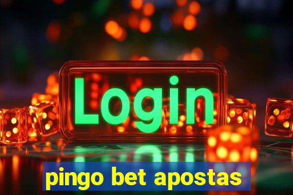 pingo bet apostas