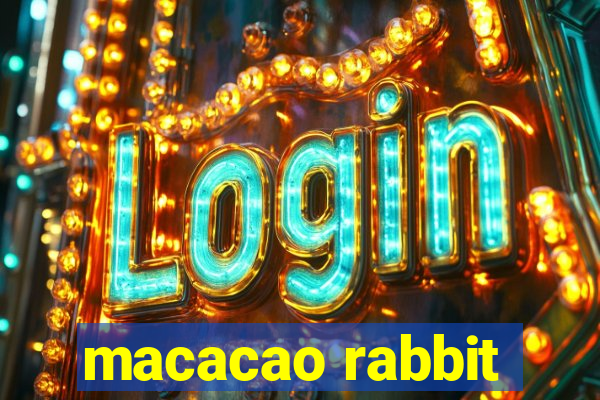 macacao rabbit