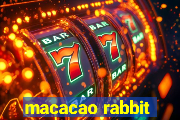 macacao rabbit