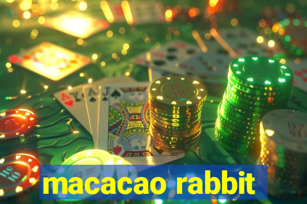 macacao rabbit