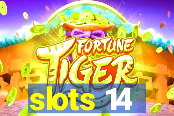 slots 14