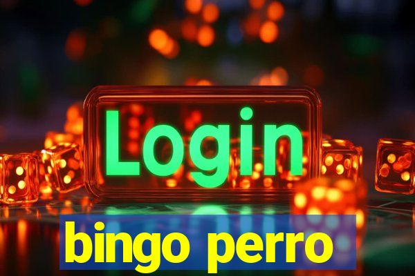 bingo perro